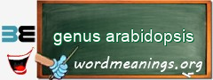 WordMeaning blackboard for genus arabidopsis